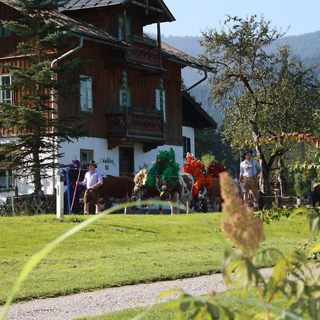 Gaestehaus Hoegerhof Hopfgarten im Brixental Eksteriør bilde