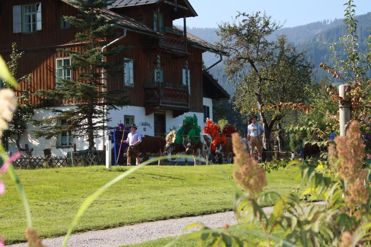 Gaestehaus Hoegerhof Hopfgarten im Brixental Eksteriør bilde